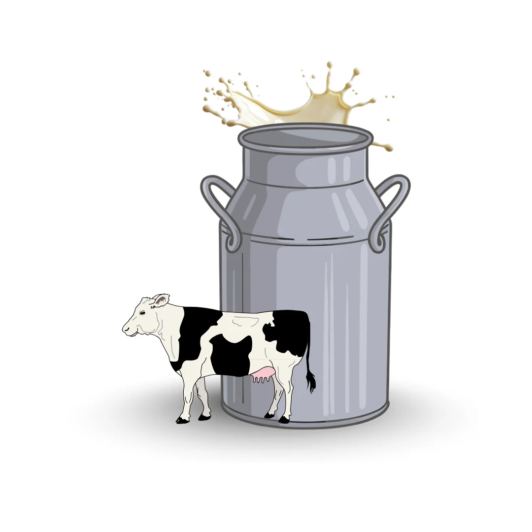 Cow Milk category