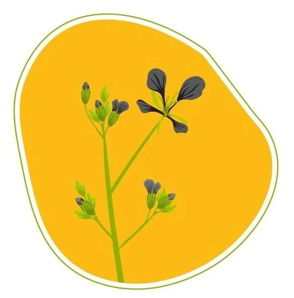 Mustard Women logo
