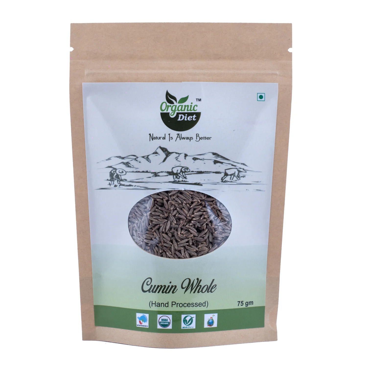 Cumin - 100 gm