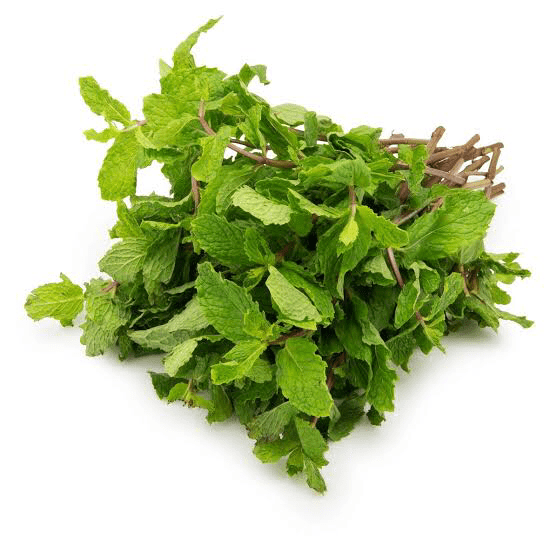 Mint (Pudina) - 250 Gm