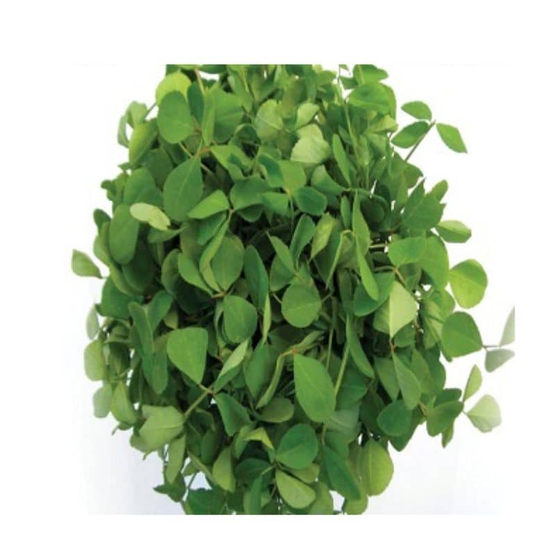 Fenugreek-leaves(Methi) Organically grown- 250gm