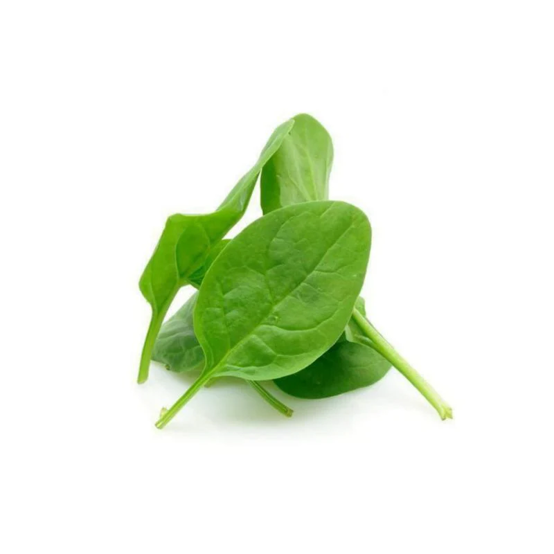 Hydroponic (Baby-spinach) - 500 gm