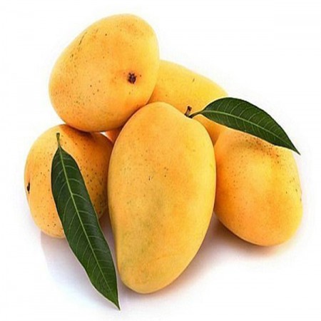 Safeda Mango (Aam)