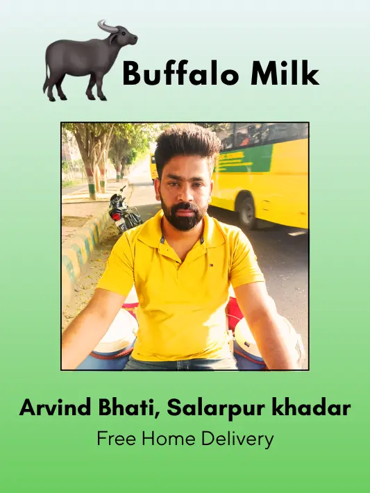 Fresh and Pure Buffalo Milk- 500 ml From Arvind Bhati, Salarpur khadar