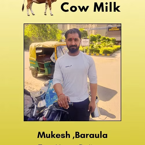 Fresh and Pure Cow Milk- 500 ml From Mukesh, Baraula