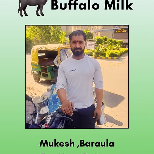 Fresh and Pure Buffalo Milk- 500 ml From Mukesh, Baraula