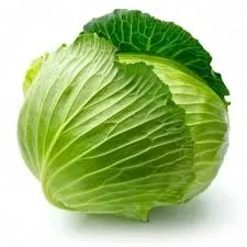 Cabbage (Patta gobhi) 500gm From Lalit, Xu1, Greater Noida