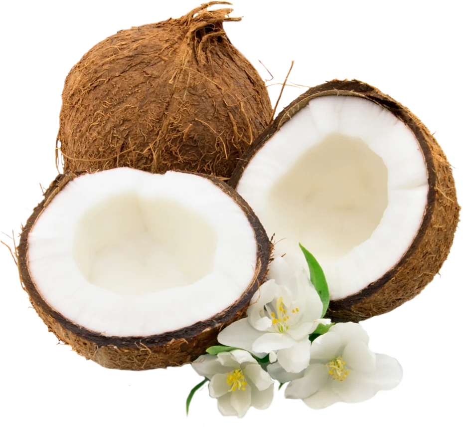 Coconut (Nariyal) from Rohit