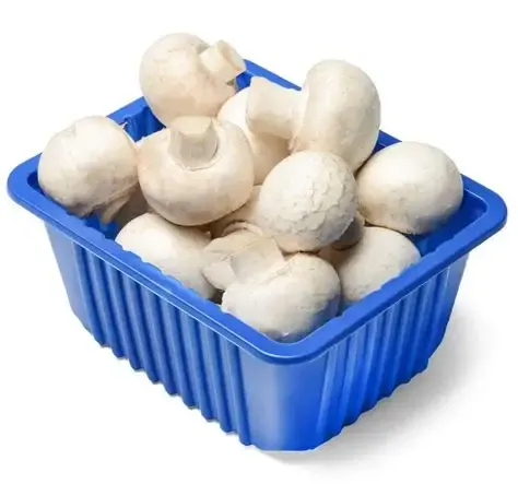 Mushroom - 1 packet from Rohit