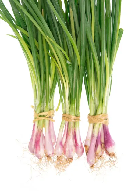 Spring Onion (Hara Pyaz) from Rohit