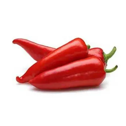 Big Chili (Mota Mirch) from Rohit