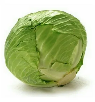 Cabbage (Patta Gobhi) From Vivek  