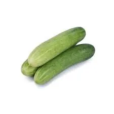Hybrid cucumber (Kheera) From Vivek  