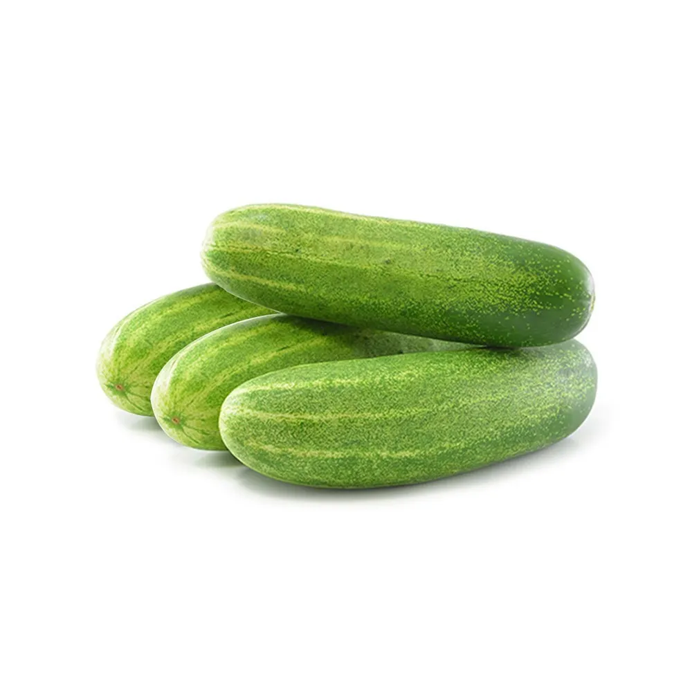 Desi cucumber (Kheera) From Vivek  