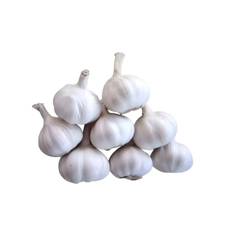 Garlic (Lahsun)-250g from Manoj bhati