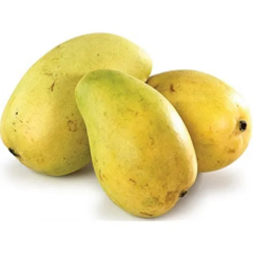Langda Mango (Langra Aam)-500g from Manoj bhati