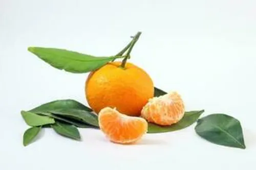 Mandarin Orange (Santra)-500g from Manoj bhati