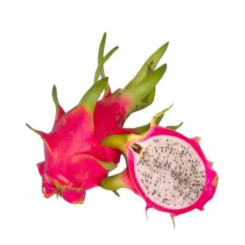 Dragon Fruit (Dragon Phal)  -(Per piece) from Manoj bhati