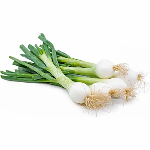 Spring Onion (Hara Pyaz)-500 from Bhole fruits and vegetable