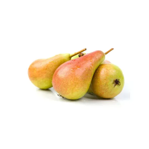 Beauty Pear (Naakh)-500 from Bhole fruits and vegetable