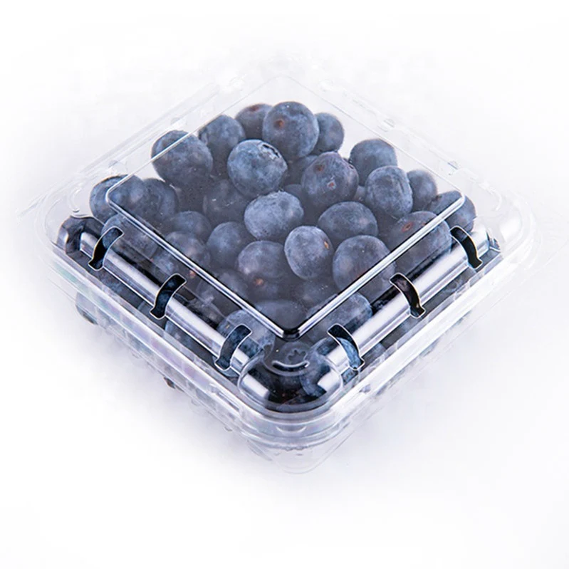 Blueberry (Neela Berry)  500gm - box from FarmFresh