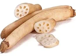 Lotus Cucumber (Kamal Kakdi) -500g from FarmFresh