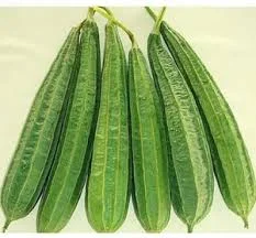 Ridge Gourd (Torai Jhinga) -500g from FarmFresh