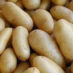 Chipsona Potato(Chipsona Aloo)- 500g From Green Garden