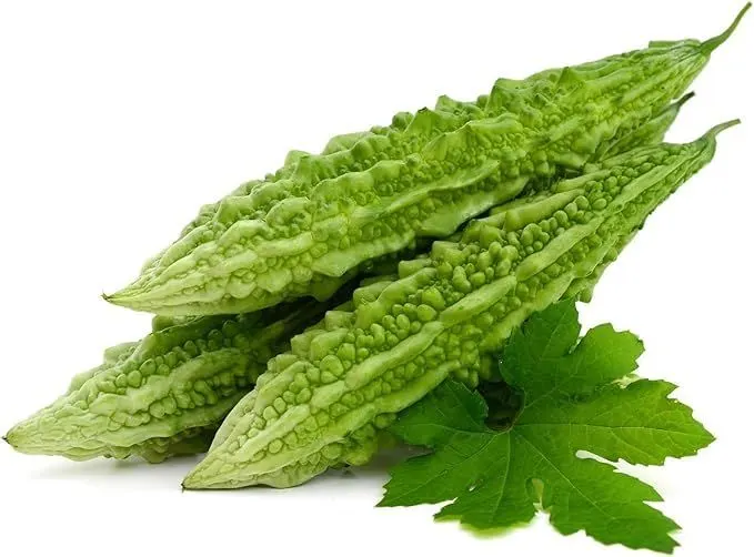 Bitter Gourd (Karela) -500g from Satvik Fresh