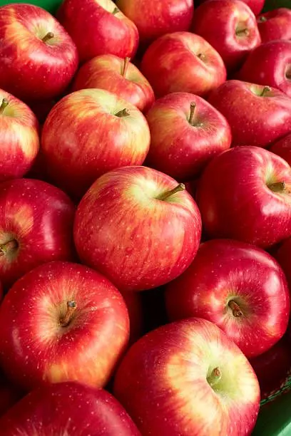 Apple (Seb) -500g from Satvik Fresh