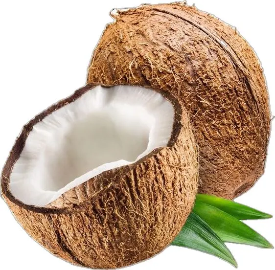 Coconut (Nariyal) -Per Piece from Satvik Fresh