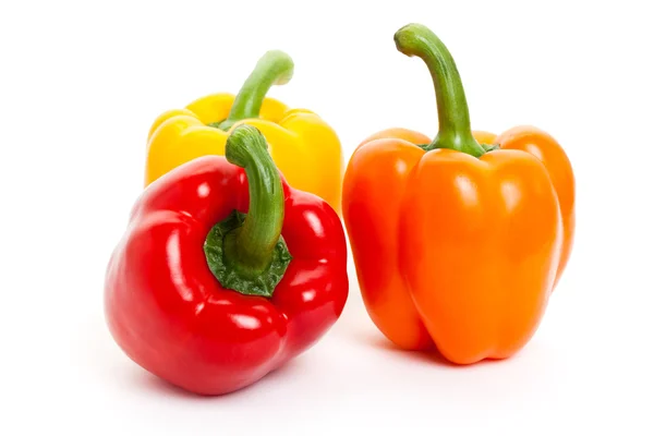 Bell Pepper (Bell Pepper) -250g from Swapan Roy