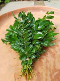 Curry Leaves (Kari Patta)  (1 Bunch)  From Shivani fruits and Vegetables