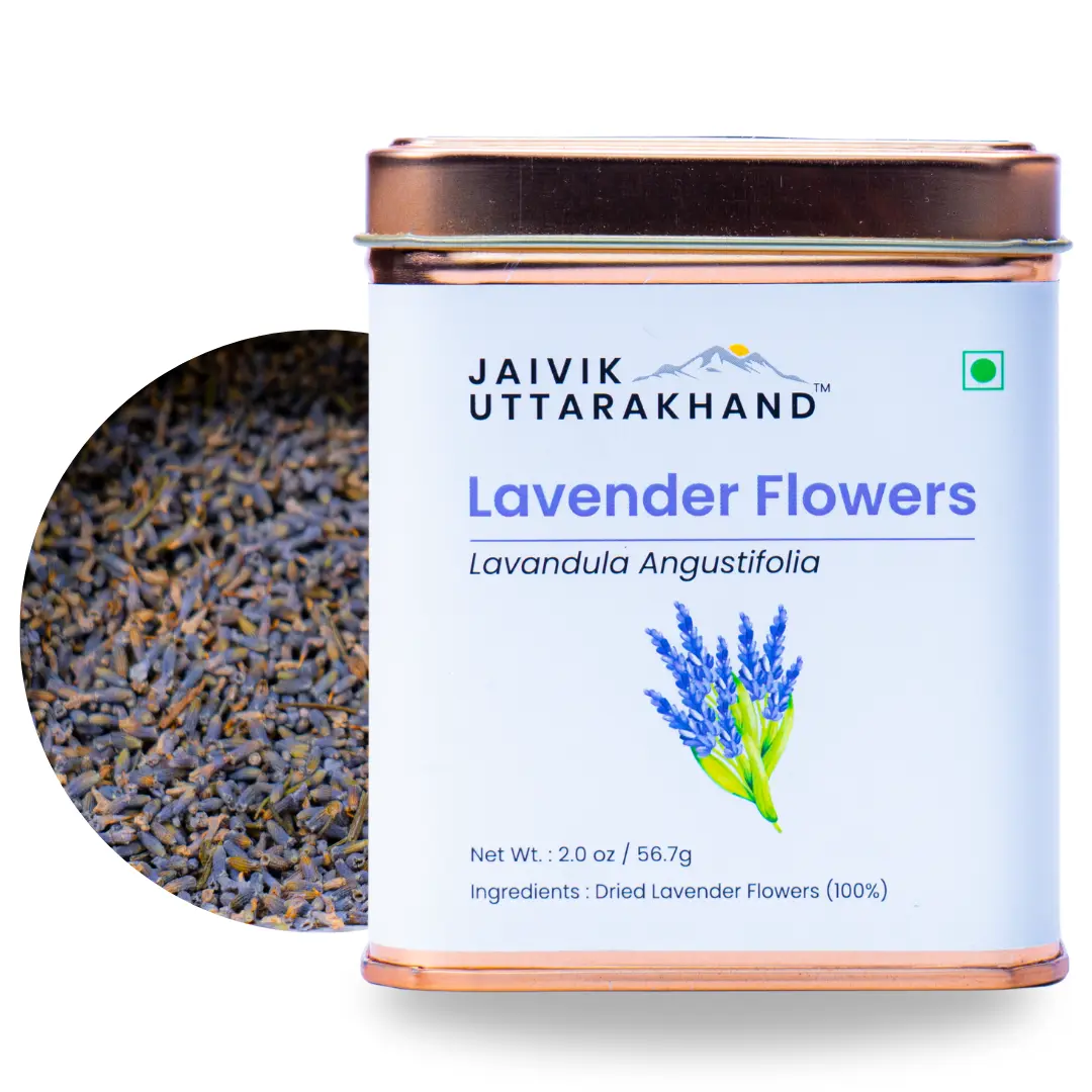 Jaivik Uttarakhand Lavender Buds Tea Pack of 2