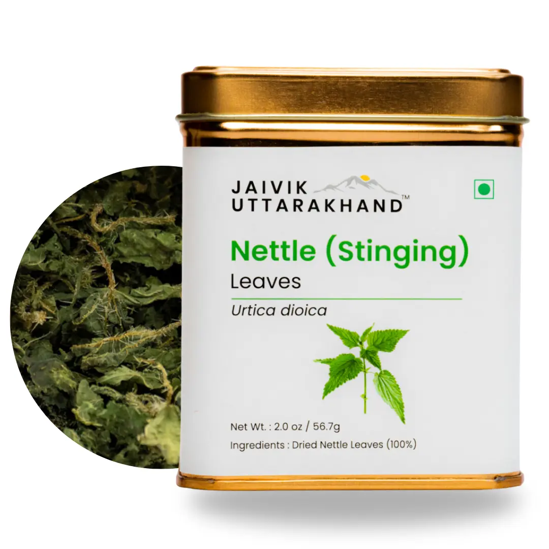 Jaivik Uttarakhand Nettle Tea Pack of 1
