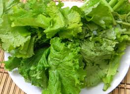 Promod Vegetable Shop 1