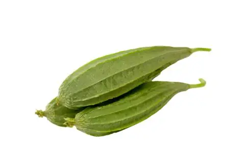 Ridge Gourd (Torai) - (500gm) From Mukeem Fresh Vegetables