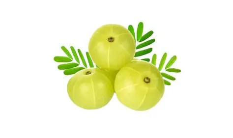 Indian Gooseberry (Amla) - (500gm) From Mukeem Fresh Vegetables