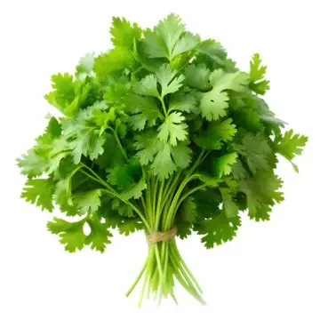 Green Coriander (Dhaniya) (100gm) From Ilyaas Fruit Shop