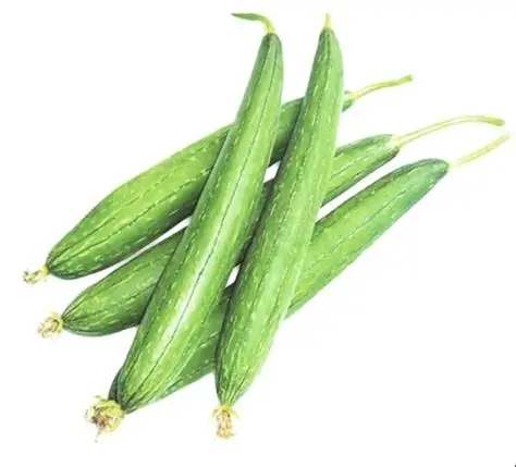 Ridge Gourd (Torai) (500gm) From Ilyaas Fruit Shop
