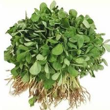 Fenugreek Leaves (Hari Methi) (500gm) From Rohit Fresh Vegetables