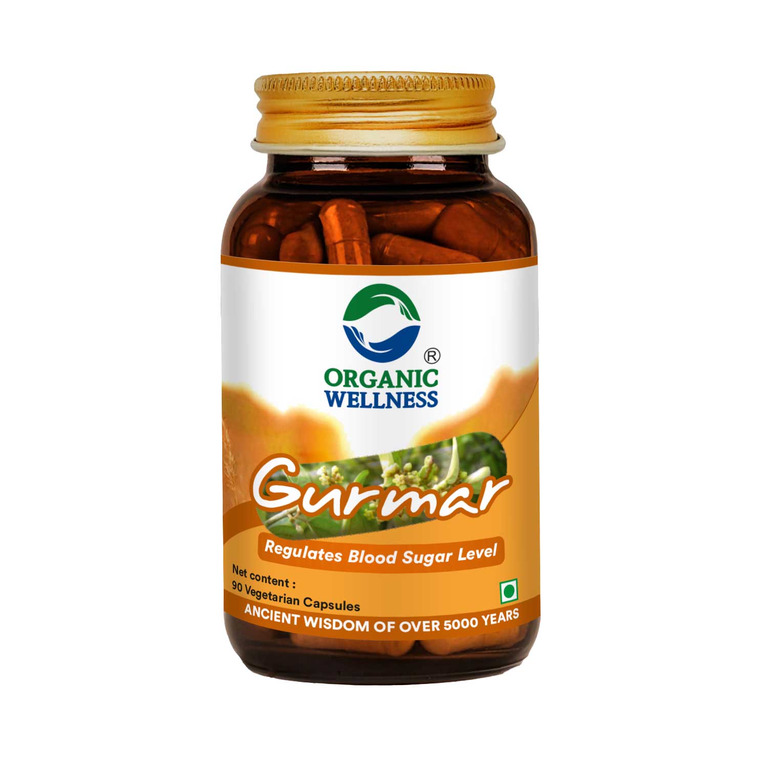 Gurmar 90 Vegetarian Capsules