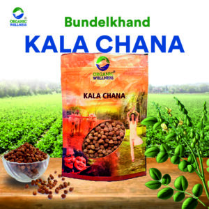 Organic Wellness Kala Chana - 450 grams