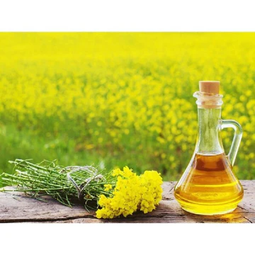 Mustard Oil From Only Hydroponics