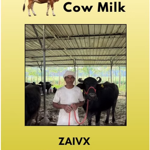Cow Milk 500 ML From ZAIVX , Noida Sector 150