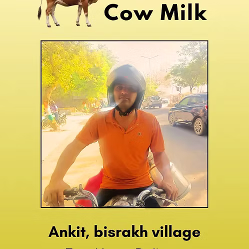 Pure & fresh natural cow milk 500 ml from ankit ,bisrakh village 