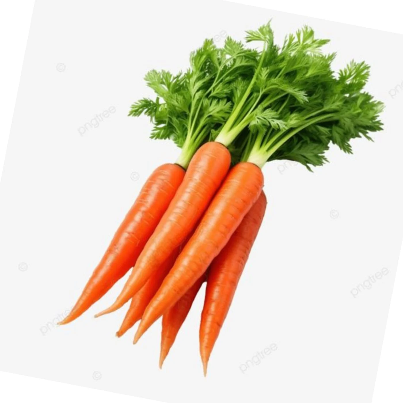 Adya Organics Carrot - 250gms