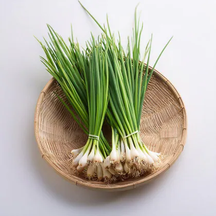 Adya Organics Spring Garlic (Green Garlic) - 250gms