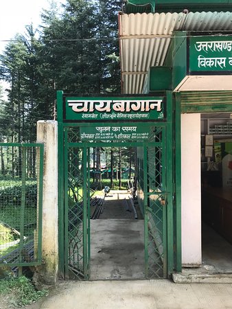 Ghorakhal Tea Factory