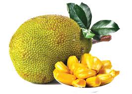 Jackfruit (Kathal)-500gm from Bhole fruits and vegetable